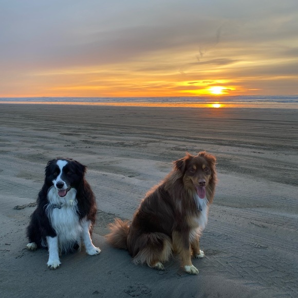 Meet your Posher, Colette - Picture 2 of 7